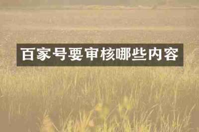 百家号要审核哪些内容