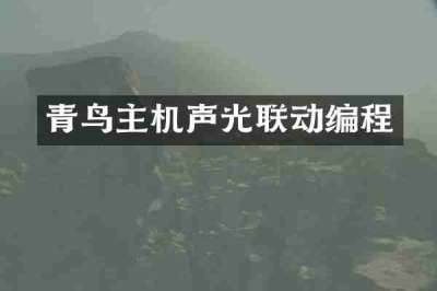 青鸟主机声光联动编程