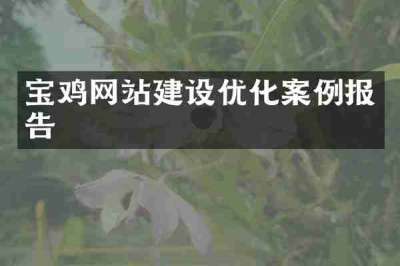 宝鸡网站建设优化案例报告