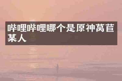 哔哩哔哩哪个是原神莴苣某人