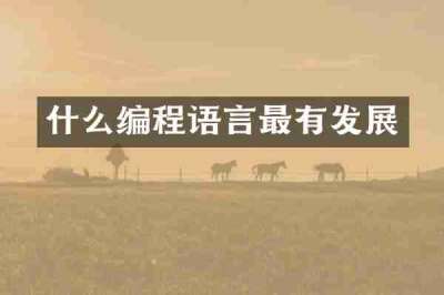 什么编程语言最有发展