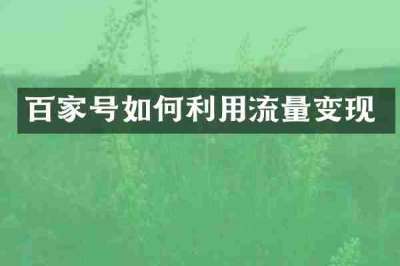 百家号如何利用流量变现