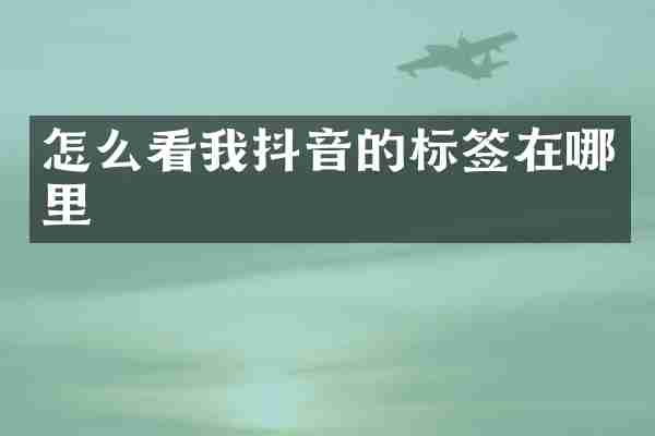 怎么看我抖音的标签在哪里