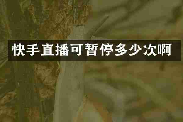 快手直播可暂停多少次啊