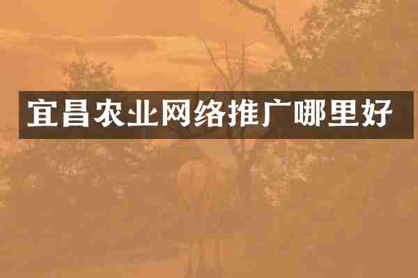 宜昌农业网络推广哪里好
