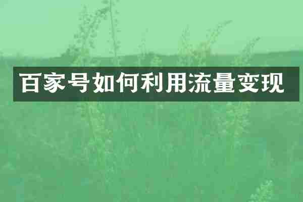 百家号如何利用流量变现