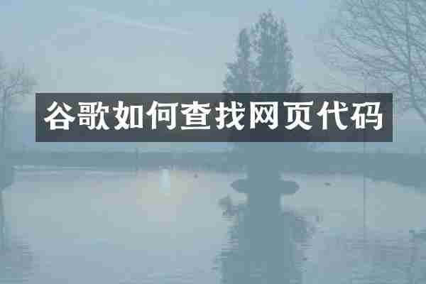 谷歌如何查找网页代码