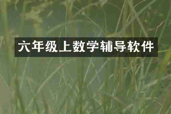 六年级上数学辅导软件