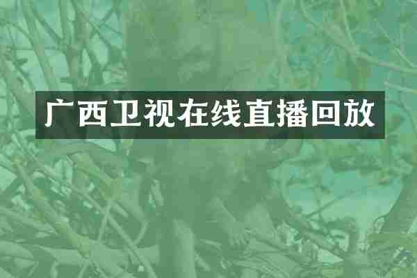 广西卫视在线直播回放