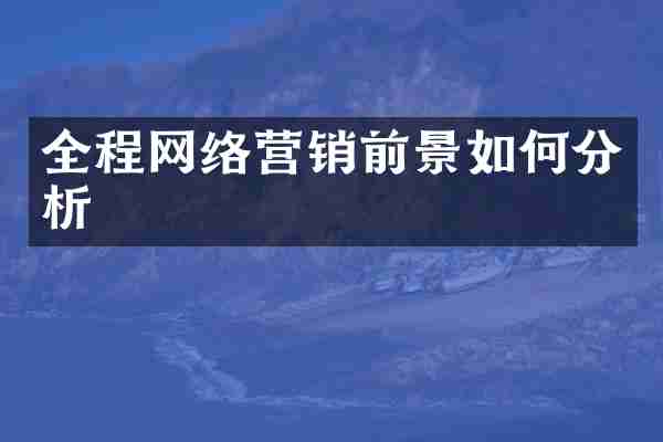 全程网络营销前景如何分析