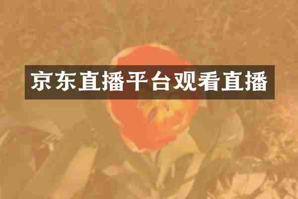 京东直播平台观看直播