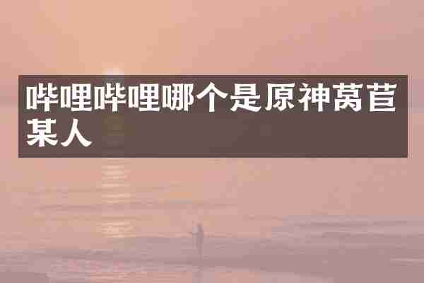 哔哩哔哩哪个是原神莴苣某人