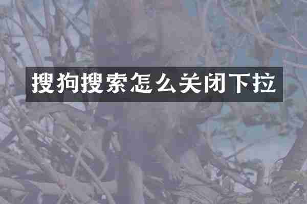 搜狗搜索怎么关闭下拉