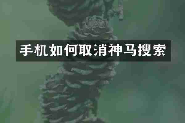 手机如何取消神马搜索