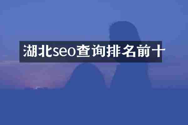 湖北seo查询排名前十