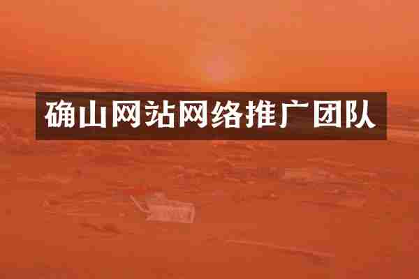 确山网站网络推广团队
