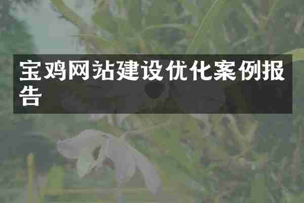 宝鸡网站建设优化案例报告