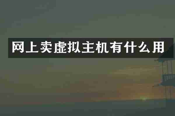 网上卖虚拟主机有什么用