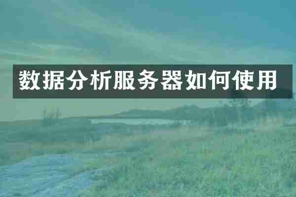 数据分析服务器如何使用