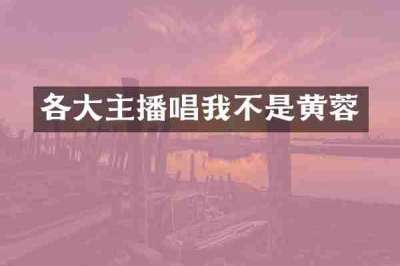 各大主播唱我不是黄蓉