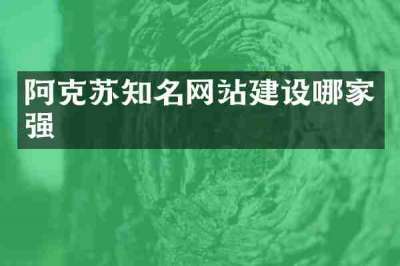 阿克苏知名网站建设哪家强