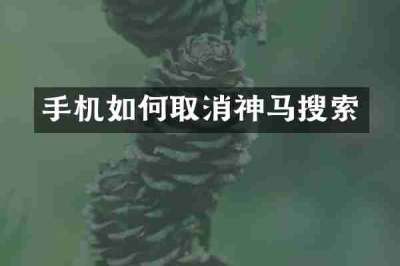 手机如何取消神马搜索