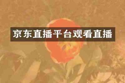 京东直播平台观看直播