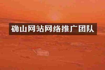 确山网站网络推广团队