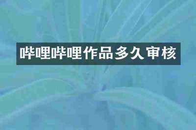 哔哩哔哩作品多久审核