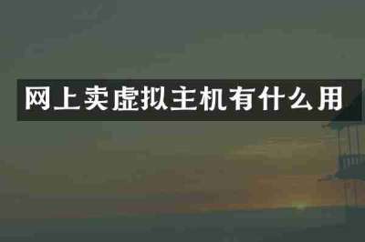 网上卖虚拟主机有什么用