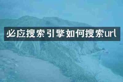 必应搜索引擎如何搜索url