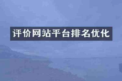 评价网站平台排名优化