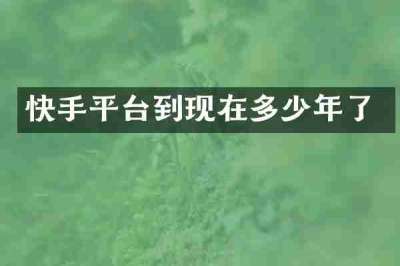 快手平台到现在多少年了