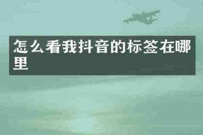 怎么看我抖音的标签在哪里