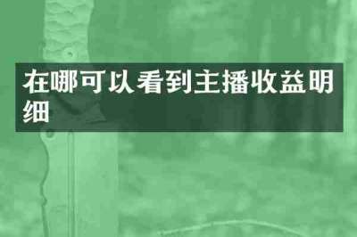 在哪可以看到主播收益明细