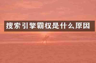 搜索引擎霸权是什么原因