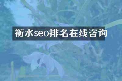 衡水seo排名在线咨询
