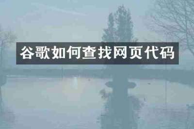 谷歌如何查找网页代码