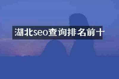 湖北seo查询排名前十