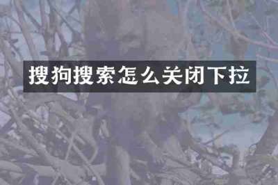 搜狗搜索怎么关闭下拉