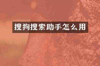 搜狗搜索助手怎么用