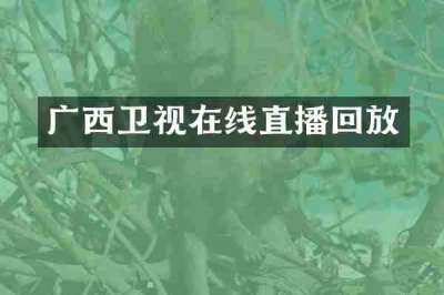 广西卫视在线直播回放