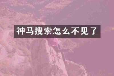神马搜索怎么不见了