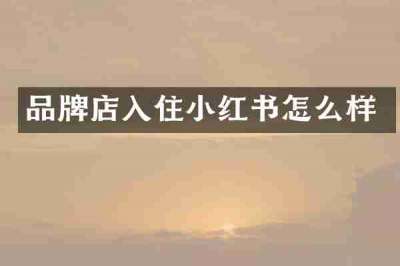 品牌店入住小红书怎么样