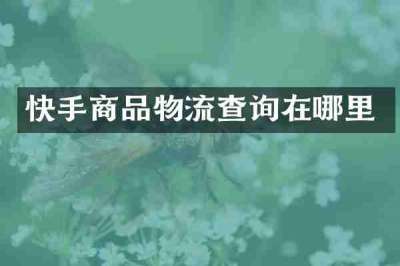 快手商品物流查询在哪里