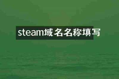 steam域名名称填写