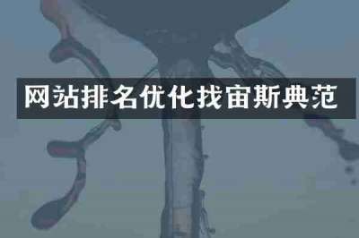网站排名优化找宙斯典范