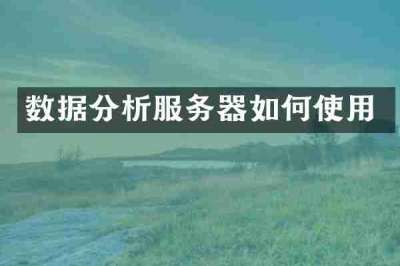 数据分析服务器如何使用