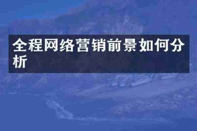 全程网络营销前景如何分析