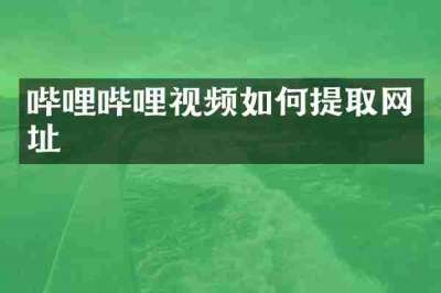 哔哩哔哩视频如何提取网址